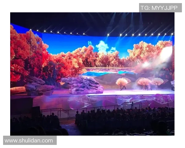 马冬梅与足球明星的传奇故事揭示了梦想与坚持的力量